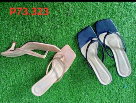 P73-323