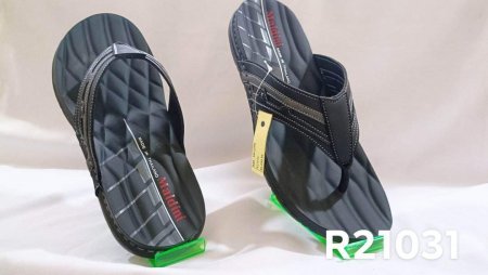 R21031