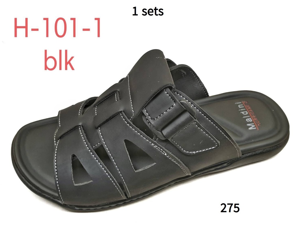 H-101