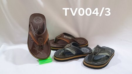 TV004