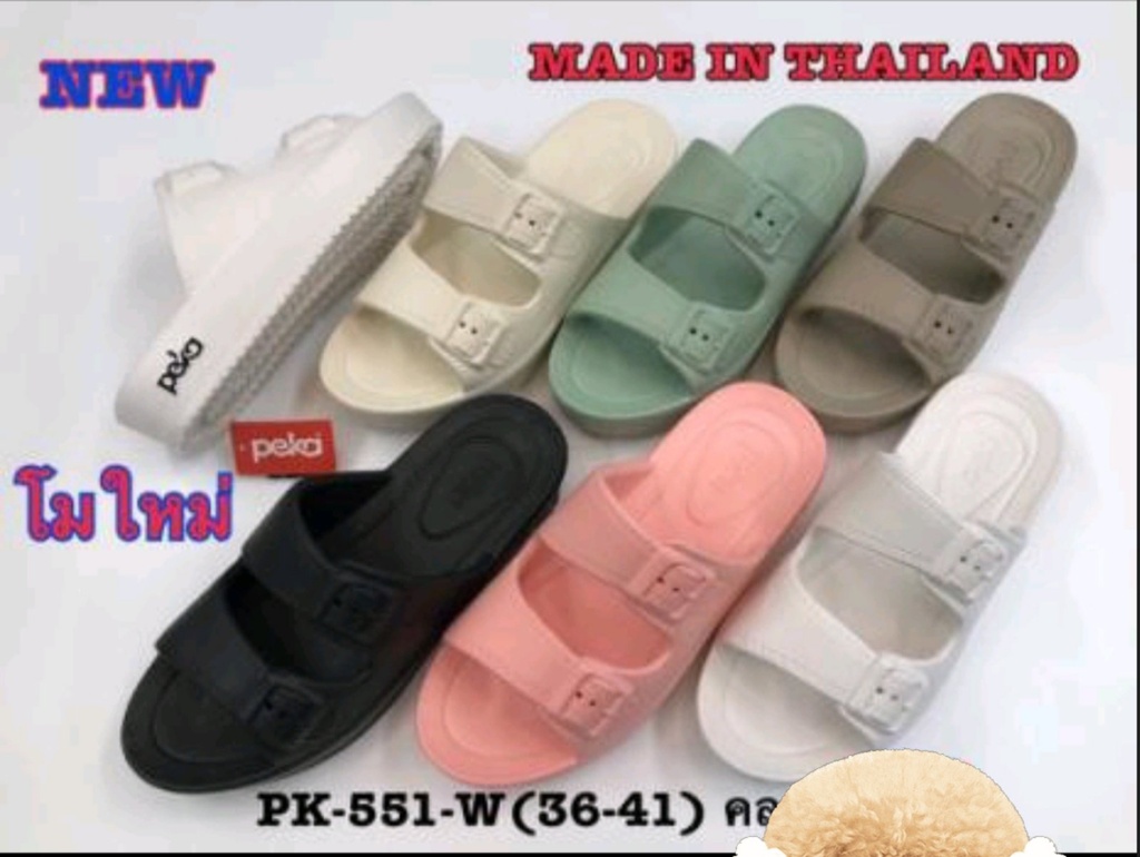 PK551-W1