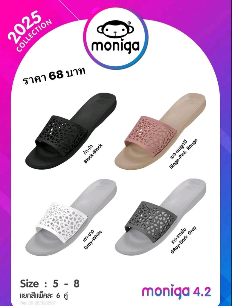 MONIDA4.2