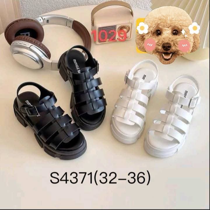 S4371