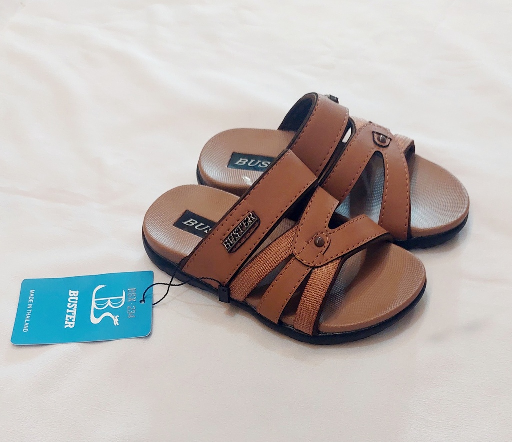 BSX-234