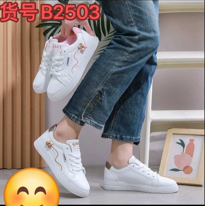 B2503