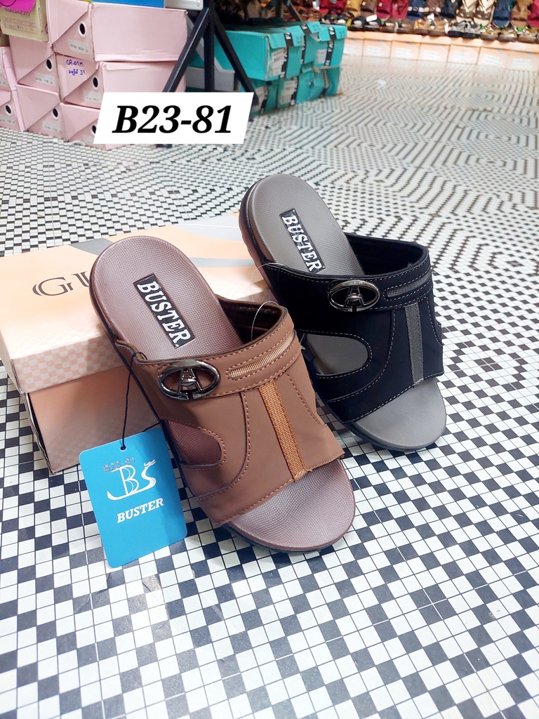 B23-81