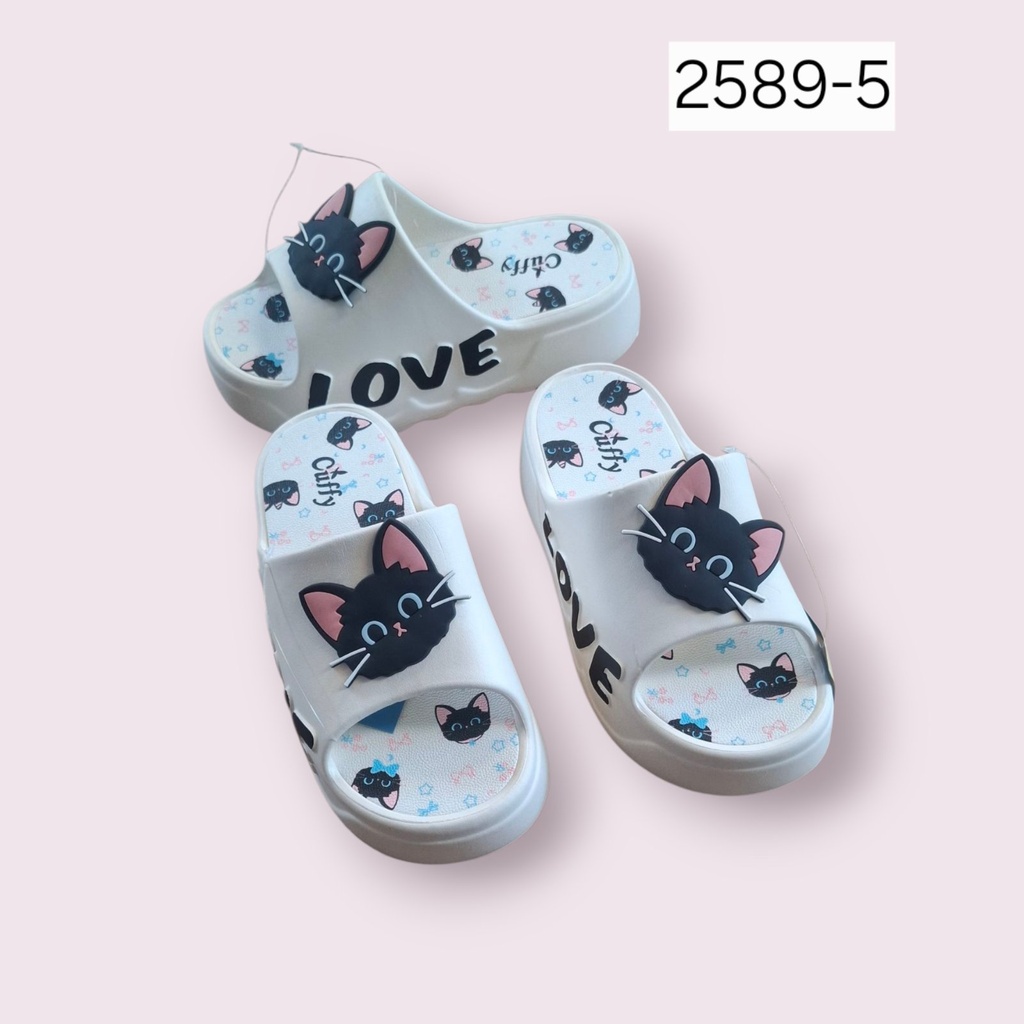 2589-5