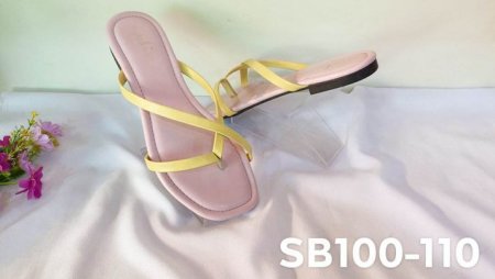 SB100-110
