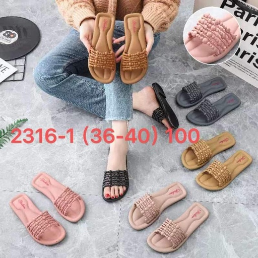 2316-1