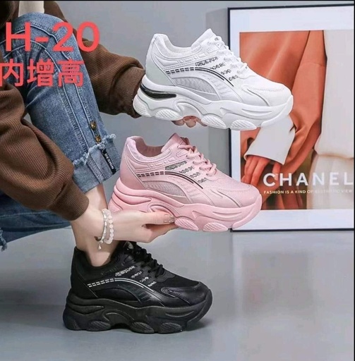 H-20