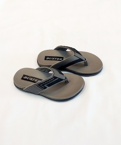 BSX-079-2