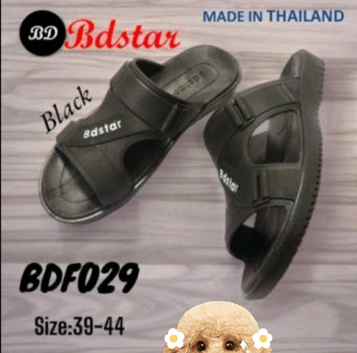 BDF029