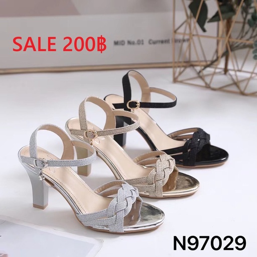 N97029